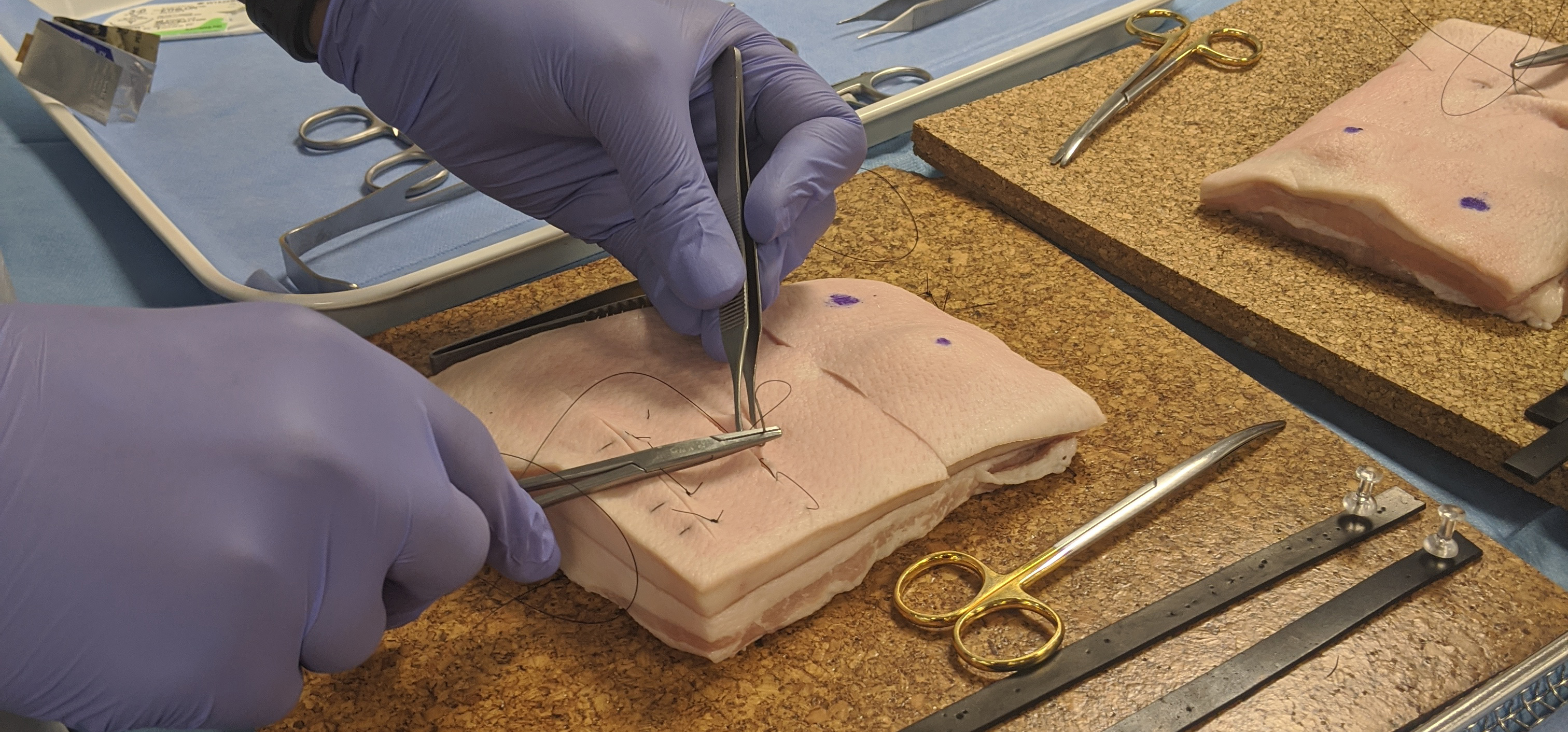 Basic Surgical Skills Course