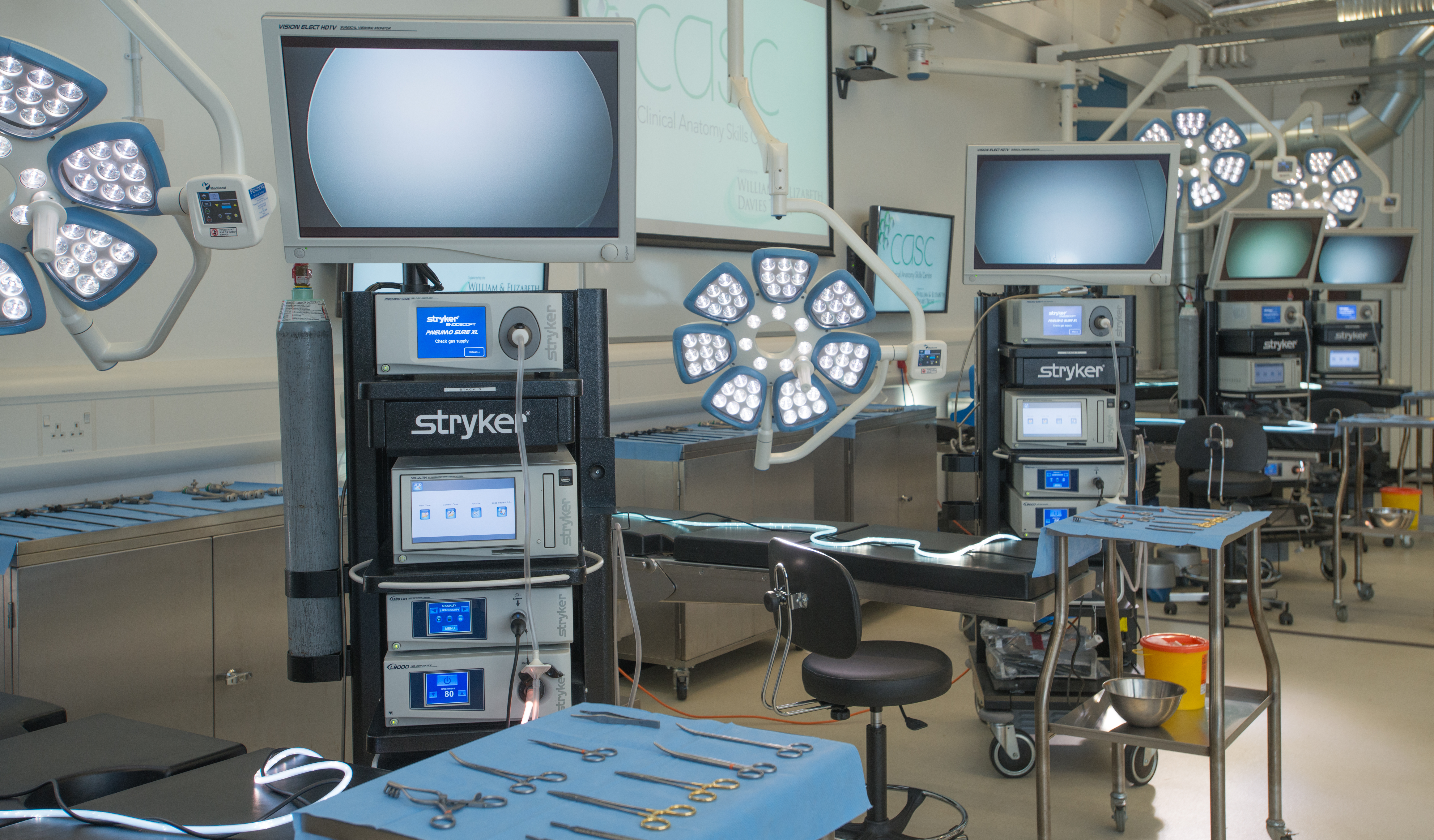 Core Endoscopic Urology and Peno-Scrotal Surgery